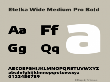 Etelka Wide Medium Pro Bold Version 1.000 2005 initial release Font Sample
