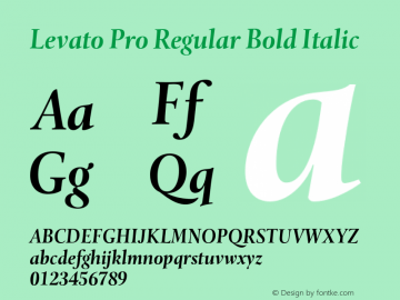 Levato Pro Regular Bold Italic Version 1.00图片样张