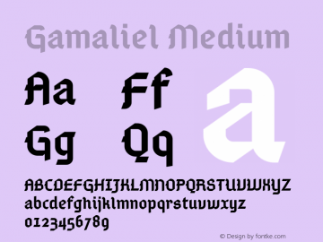 Gamaliel Medium Version 001.000图片样张