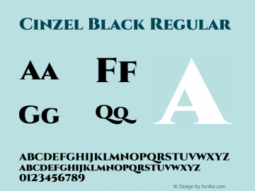 Cinzel Black Regular Version 1.001;PS 001.001;hotconv 1.0.56;makeotf.lib2.0.21325图片样张