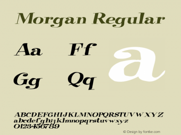 Morgan Regular Altsys Metamorphosis:10/27/94图片样张