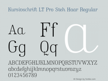 Kursivschrift LT Pro Steh Haar Regular Version 1.00图片样张