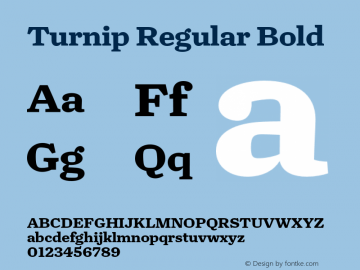 Turnip Regular Bold Version 1.0 Font Sample