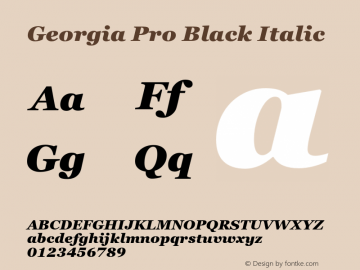 Georgia Pro Black Italic Version 6.01 Font Sample
