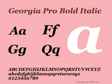 Georgia Pro Bold Italic Version 6.01图片样张