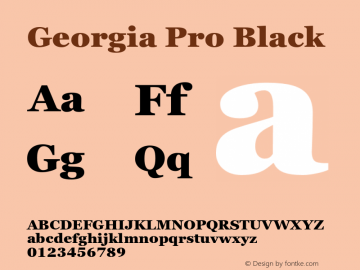 Georgia Pro Black Version 6.01图片样张