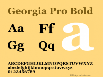Georgia Pro Bold Version 6.01图片样张