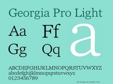 Georgia Pro Light Version 6.01图片样张