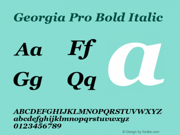 Georgia Pro Bold Italic Version 6.11图片样张