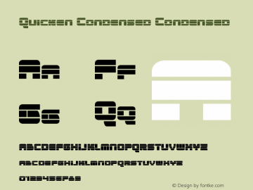 Quicken Condensed Condensed Version 1.2; 2012图片样张