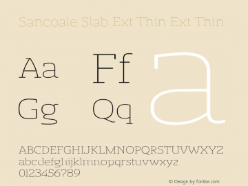 Sancoale Slab Ext Thin Ext Thin Version 1.000图片样张