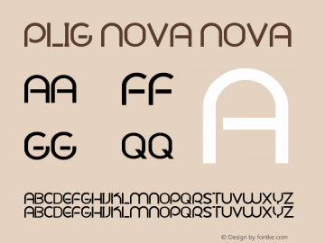 Plig nova nova Version 1.00 July 25, 2012, initial release图片样张