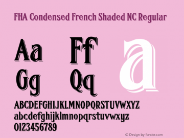 FHA Condensed French Shaded NC Regular Version 1.003 Font Sample