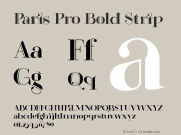 Paris Pro Bold Strip 1.000 Font Sample