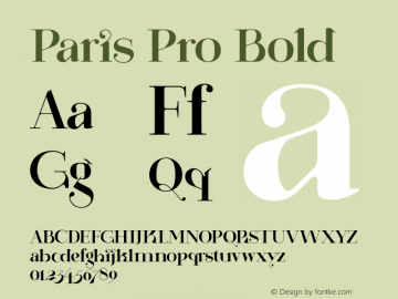 Paris Pro Bold 1.000 Font Sample