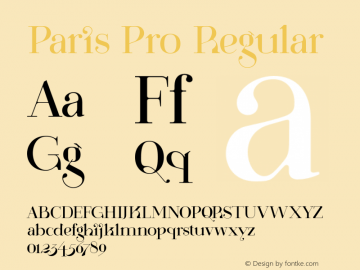 Paris Pro Regular 1.000 Font Sample