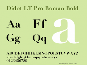 Didot LT Pro Roman Bold Version 1.01图片样张