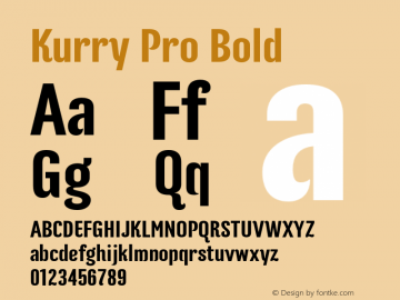 Kurry Pro Bold Version 1.000 Font Sample