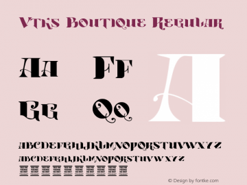 Vtks Boutique Regular Version 1.00 January 2, 2013, initial release图片样张