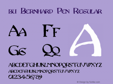 bu Bernhard Pen Regular Version 1.0 Font Sample
