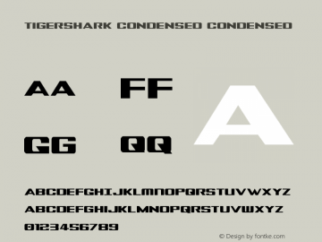 Tigershark Condensed Condensed Version 1.0; 2013图片样张