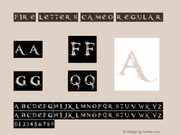 Fire Letters Cameo Regular Version 1.00 January 5, 2010, initial release图片样张