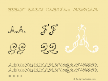 Pepin Press Caps-FA145 Regular Version 2.00 February 13, 2011图片样张