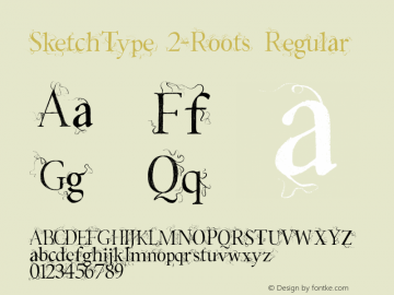 SketchType 2-Roots Regular Version 1.01 October 4, 2012图片样张