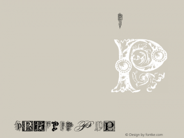 USF Decorative Letters-P Regular Version 1.00 October 16, 2012, initial release Font Sample