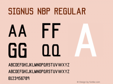 Signus NBP Regular Version 1.0 (18-January-2013)图片样张