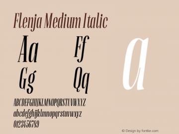 Flenja Medium Italic Version 1.001;PS 001.001;hotconv 1.0.70;makeotf.lib2.5.58329;com.myfonts.stereotypes.flenja.medium-italic.wfkit2.3UcQ图片样张