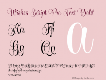 Wishes Script Pro Text Bold Version 1.001 2013 Font Sample