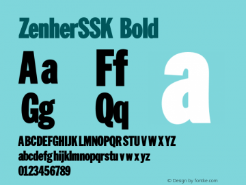 ZenherSSK Bold Macromedia Fontographer 4.1 8/14/95图片样张
