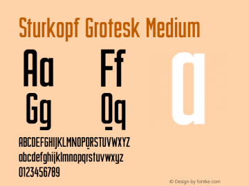 Sturkopf Grotesk Medium Version 1.1b (12.05.2013)图片样张