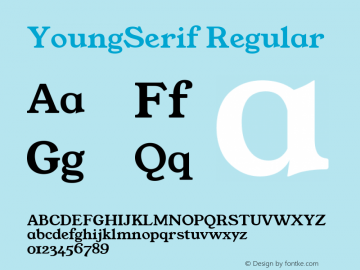 YoungSerif Regular Version 1.001;PS 001.001;hotconv 1.0.70;makeotf.lib2.5.58329 Font Sample