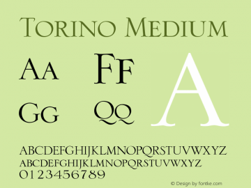 Torino Medium Version 001.001图片样张