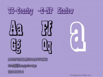 TS-Country -E-NP Shadow Version 1.002 2013图片样张