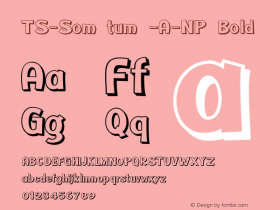 TS-Som tum -A-NP Bold Version 1.002 2013图片样张