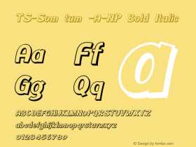 TS-Som tum -A-NP Bold Italic Version 1.002 2013图片样张