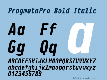 PragmataPro Bold Italic Version 0.8图片样张