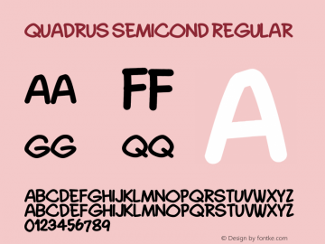Quadrus Semicond Regular Version 1.00 June 22, 2013, initial release图片样张