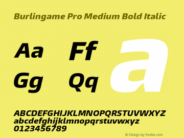 Burlingame Pro Medium Bold Italic Version 1.00 Font Sample