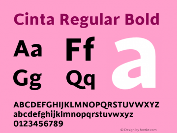 Cinta Regular Bold Version 1.000图片样张