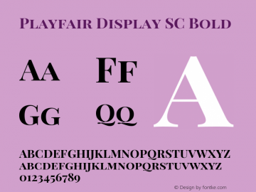 Playfair Display SC Bold Version 1.002;PS 001.002;hotconv 1.0.70;makeotf.lib2.5.58329; ttfautohint (v0.93) -l 42 -r 42 -G 200 -x 14 -w 