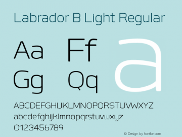 Labrador B Light Regular Version 1.000图片样张