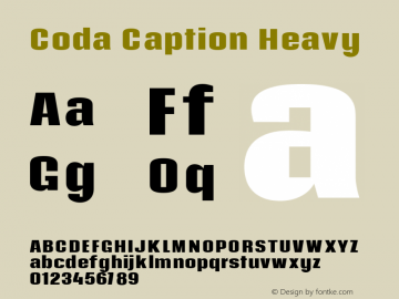 Coda Caption Heavy Version 1.001图片样张