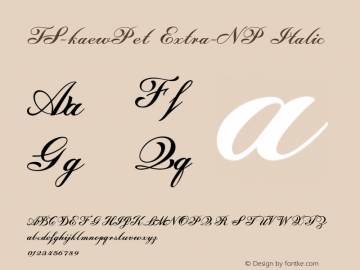 TS-kaewPet Extra-NP Italic Version 2.001 2013图片样张