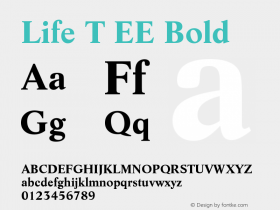 Life T EE Bold Version 001.005图片样张