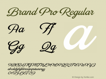 Brand Pro Regular 1.000图片样张