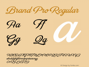 Brand Pro Regular 1.000图片样张